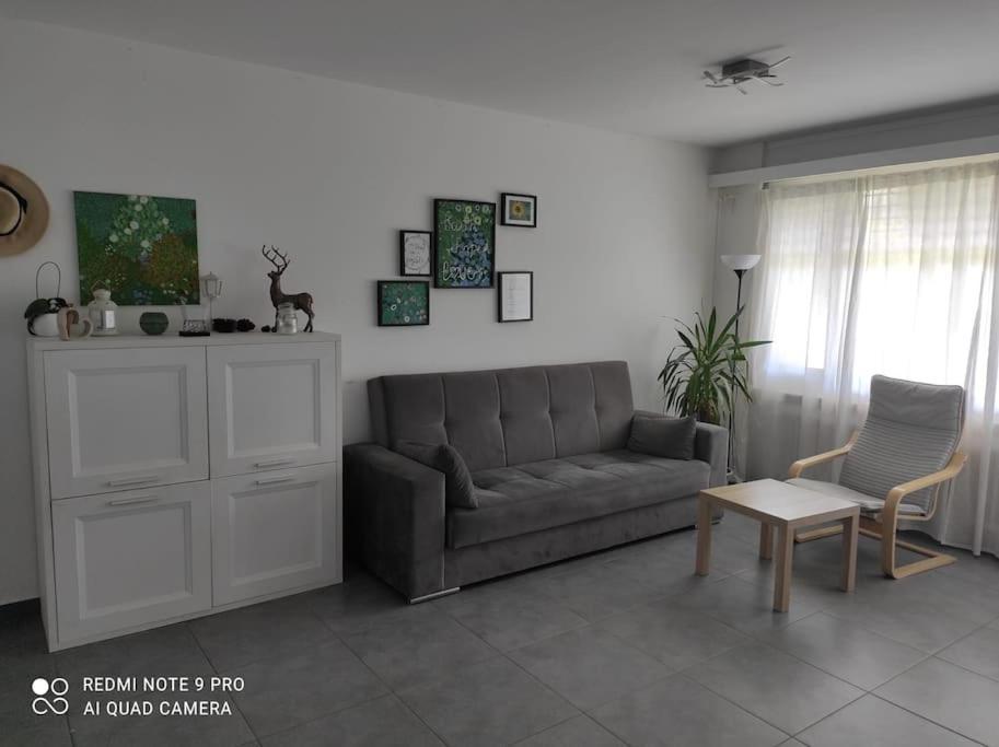 Green Apartment Ponte Capriasca Exterior photo